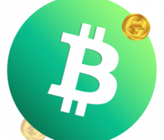 1bch.com