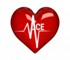 aceholdingsinc.com