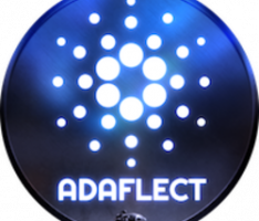 ADAFlect.com