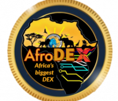 afrodexlabs.com