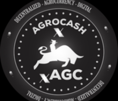 cryptoagrocash.com
