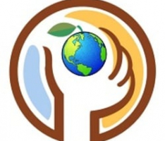 mycoinget.com