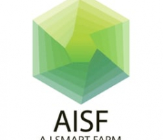 en.aisf.io