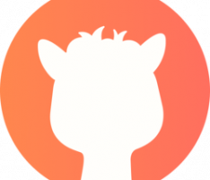 alpaca.city
