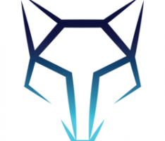 alpha-cap.io