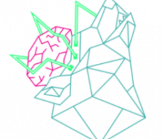 alphabraincapital.io