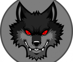 alphawolf.finance