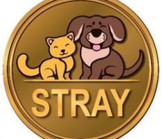 animaltoken.one