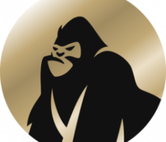 ape.fi