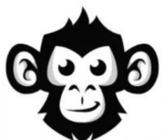 apetoken.net