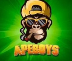 apeboysbsc.com