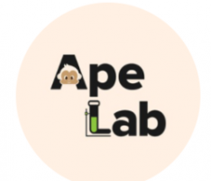 apelab.app