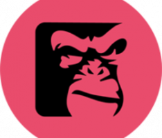 apepark.money