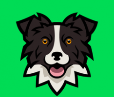apollocrypto.org
