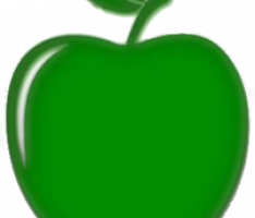 appleprotocol.info
