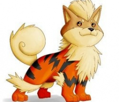 arcanineinu.com