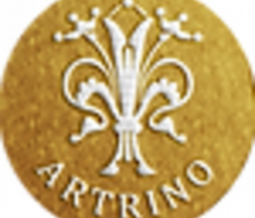 artrino.info
