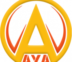 aryacoin.io