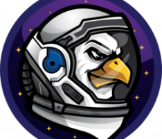 astrobirdz.io