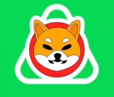 auroshiba.com