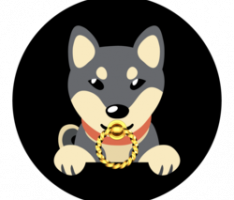 knockerscoin.com