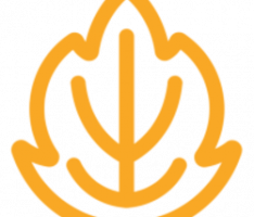 seasonaltokens.org