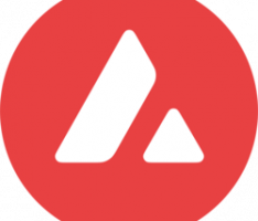 avax.network