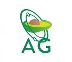 avocadodao.io