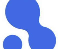 bonepayment.com