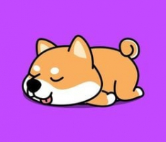 akita.baby