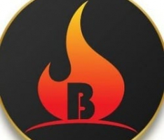 babybitburnreflect.com