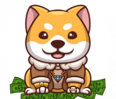 babydogebillionaire.net