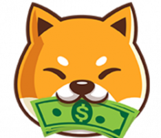 babydogecash.com
