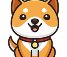 babydogecoin.com