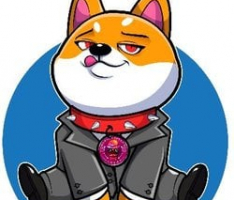 babydogeinu.io