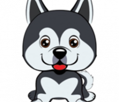babydogo.finance