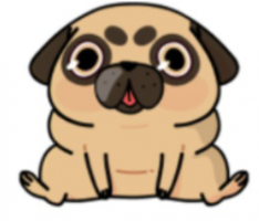 babydougtoken.com