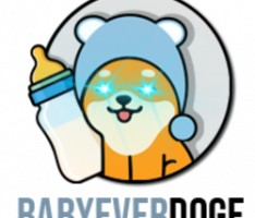 babyeverdoge.com
