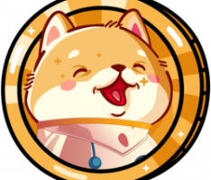 babyfalcondoge.io