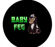 babyfeg.com