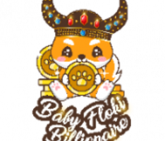 babyflokibillionaire.com
