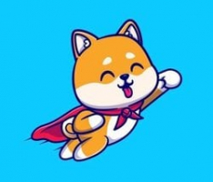 babyflokicoin.org