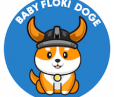 babyflokidoge.info