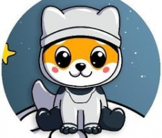 bmfloki.com