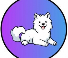 babysamocoin.com