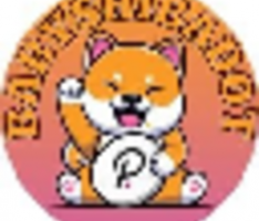 babyshibadot.com