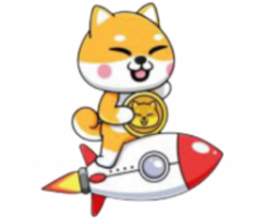 babyshibarocket.com