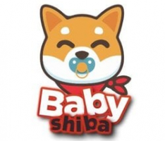 realbabyshiba.com