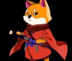 babyshibnobi.com