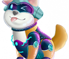 babybackdoge.finance